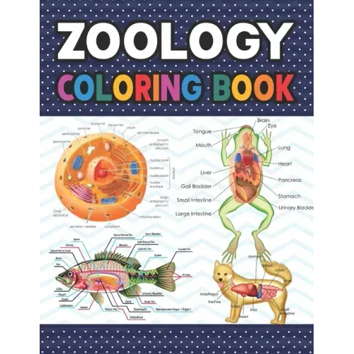 Zoology Coloring Book: Collection of Simple Illustrations of Zoology. The New Surprising Magnificent Learning Structure For Veterinary Anatom