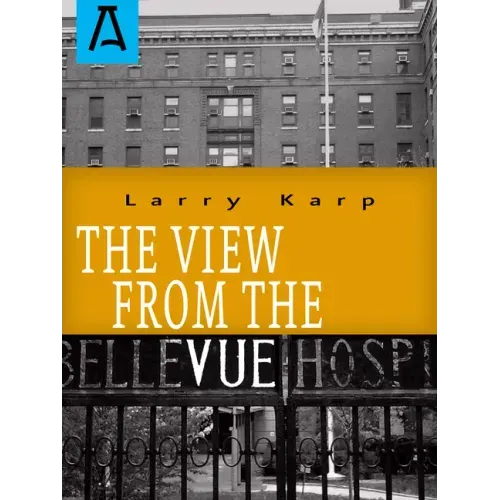 The View from the Vue