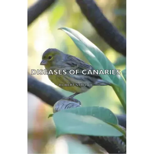 Diseases of Canaries