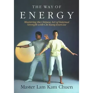 The Way of Energy: A Gaia Original - Paperback
