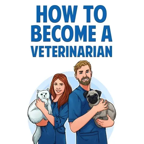 How to Become a Veterinarian
