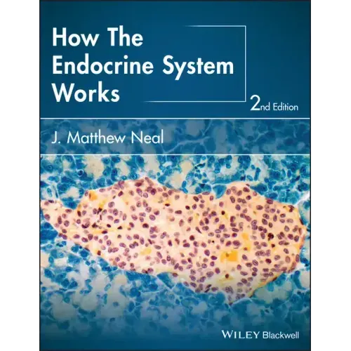 How the Endocrine System Works