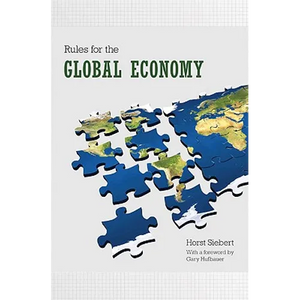 Rules for the Global Economy - Hardcover
