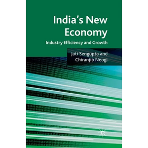 India's New Economy: Industry Efficiency and Growth - Paperback