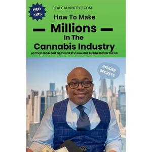 How to make millions in the cannabis industry: As told from one of the first cannabis business owners in the US - Paperback