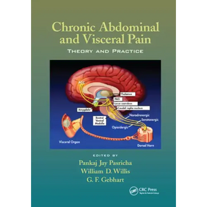 Chronic Abdominal and Visceral Pain: Theory and Practice - Paperback