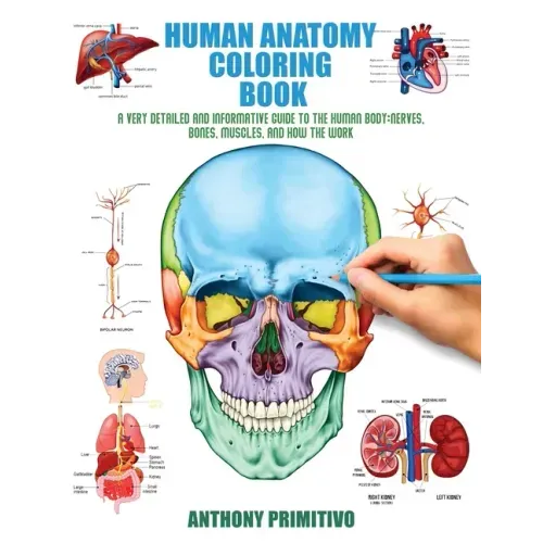 Human Anatomy Coloring Book: A Very Detailed and Informative Guide to the Human Body: Nerves, Bones, Muscles, and How to the Work