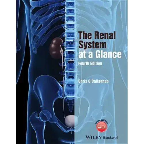 The Renal System at a Glance