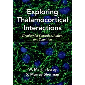 Exploring Thalamocortical Interactions: Circuitry for Sensation, Action, and Cognition - Paperback