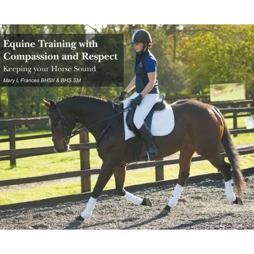 Equine Training with Compassion and Respect: Keeping your Horse Sound