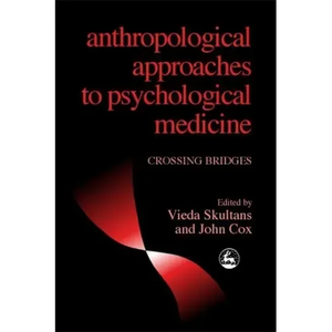 Anthropological Approaches to Psychological Medicine: Crossing Bridges - Paperback