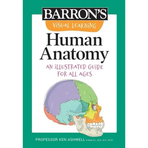 Visual Learning: Human Anatomy: An Illustrated Guide for All Ages - Paperback