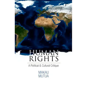 Human Rights: A Political and Cultural Critique - Paperback