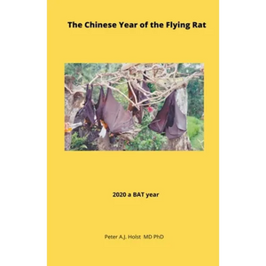 The Chinese Year of the Flying Rat - Paperback