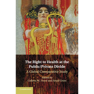 The Right to Health at the Public/Private Divide: A Global Comparative Study - Paperback