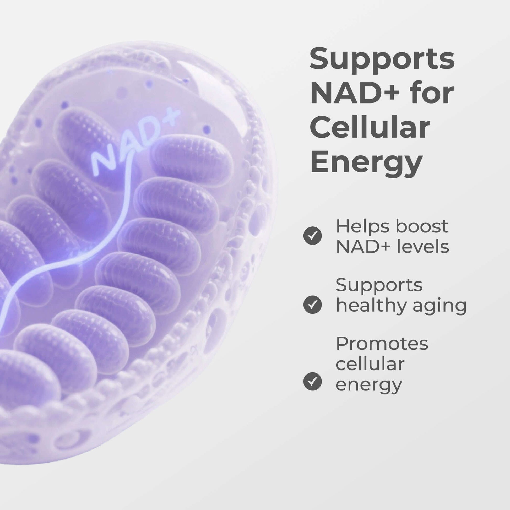 NMN Capsules 500MG Neurogan Health