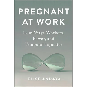 Pregnant at Work: Low-Wage Workers, Power, and Temporal Injustice - Hardcover