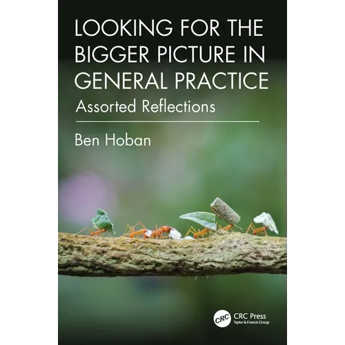 Looking for the Bigger Picture in General Practice: Assorted Reflections