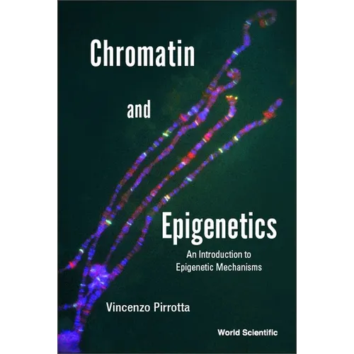Chromatin and Epigenetics