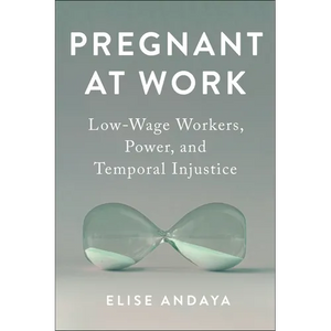 Pregnant at Work: Low-Wage Workers, Power, and Temporal Injustice - Paperback