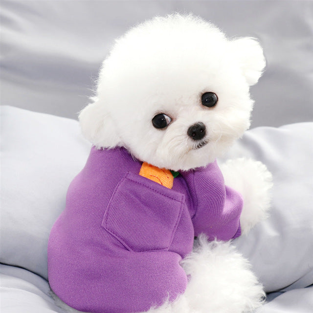 New Carrot Sweater Cute Teddy Dog Clothes Winter Warm Small Dog Pet Autumn And Winter Clothes