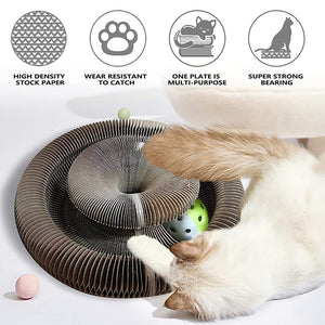 Cat Scratching Board