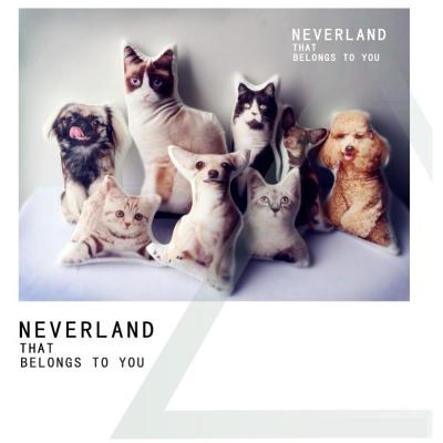 Cute Pet Cat Dog Shaped Pillow