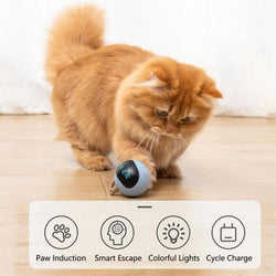 Fofos Two Lucky Raccoon Magic Ball Cat Toy Electric Intelligent Automatic Funny Cat Ball Relieve Boredom And Bite Led Light