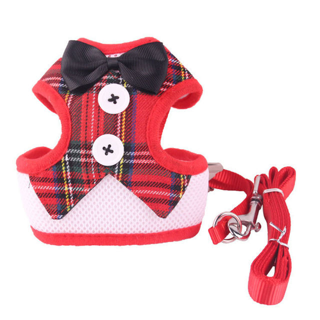 Dog Traction Rope Vest Type Teddy Clothes Dog Rope Small And Medium-Sized Dog Chest Strap Dog Rope Pet Daily Necessities