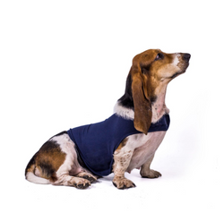Dog Anxiety Vest Dog Thunder Shirt Coat Pet Dog  Jacket For Dogs Cats Vest For Dog Shirt Pet Supplies