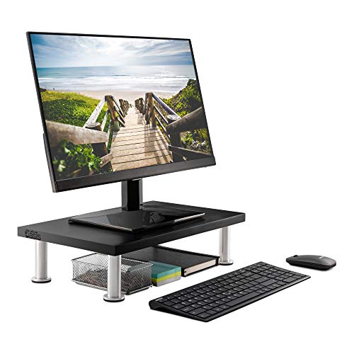 Dual Computer Monitor Stand Supports 100lbs