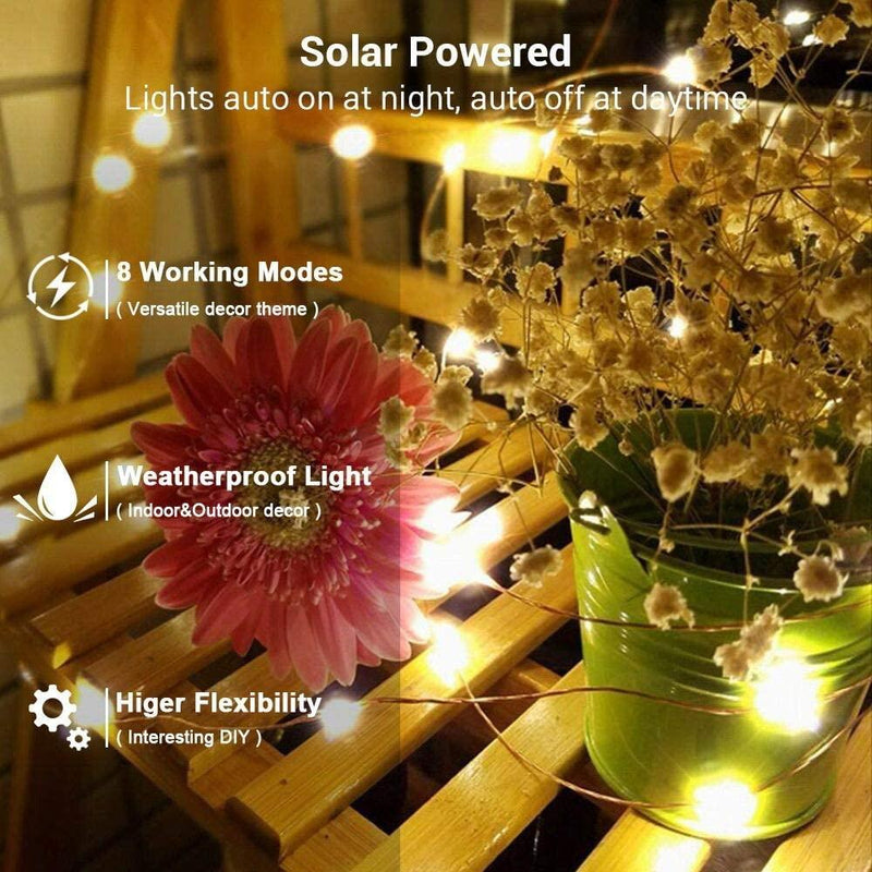 Solar Powered String Lights Indoor Outdoor Waterproof For Gardens Home - Annizon Home Essentials