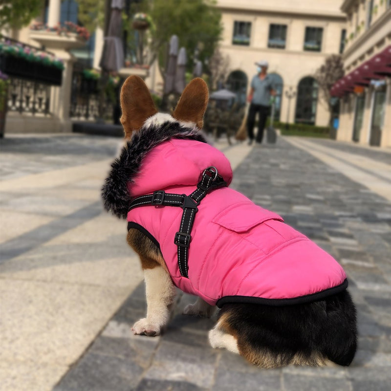 New Pet Cotton Clothes Reflective Warmth Dog Clothes Winter Wool Collar Plus Cotton Pet Clothing Cotton Vest Coat