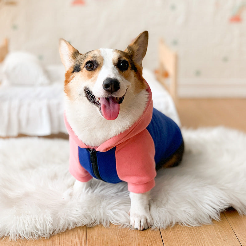 Corgi Dog Clothes Spring and Autumn Thin Small and Medium Dog Hair Shedding Prevention Pet Dog Clothes
