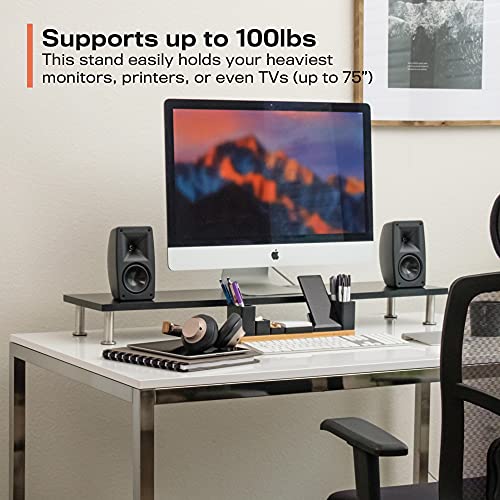 Dual Computer Monitor Stand Supports 100lbs
