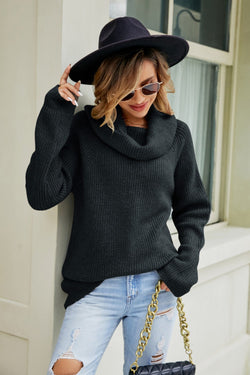 Cowl Neck Raglan Sleeve Sweater