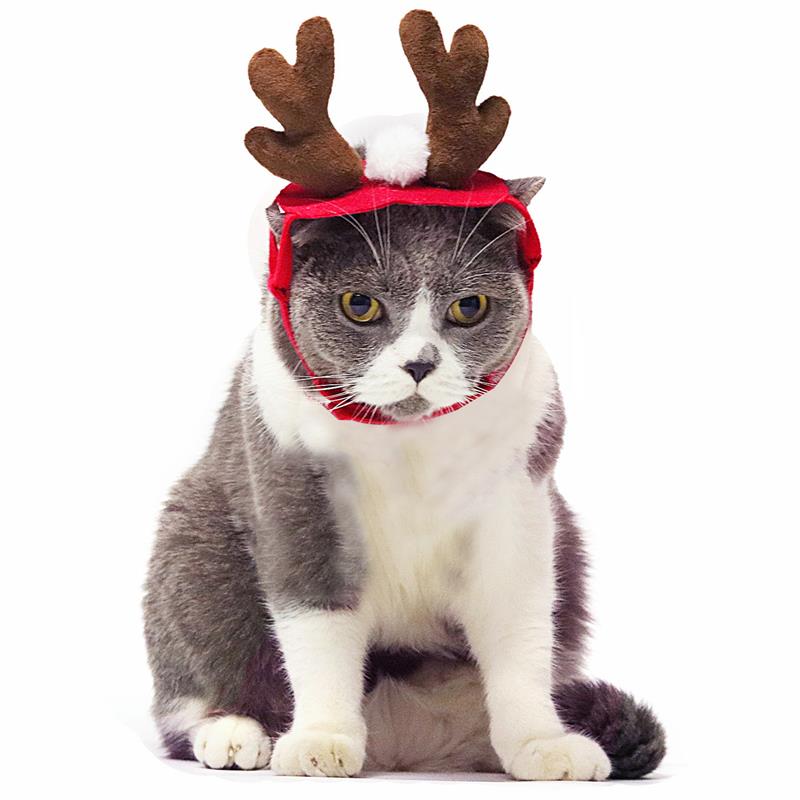 Christmas Dog Headbands Antlers Pet Supplies Dog Cat Deer Headband Decoration Teddy Dog Antlers Dog Gentleman Headdress