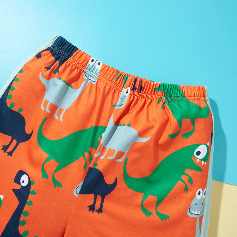 Boys Dinosaur Print Raglan Sleeve T-Shirt and Shorts Set