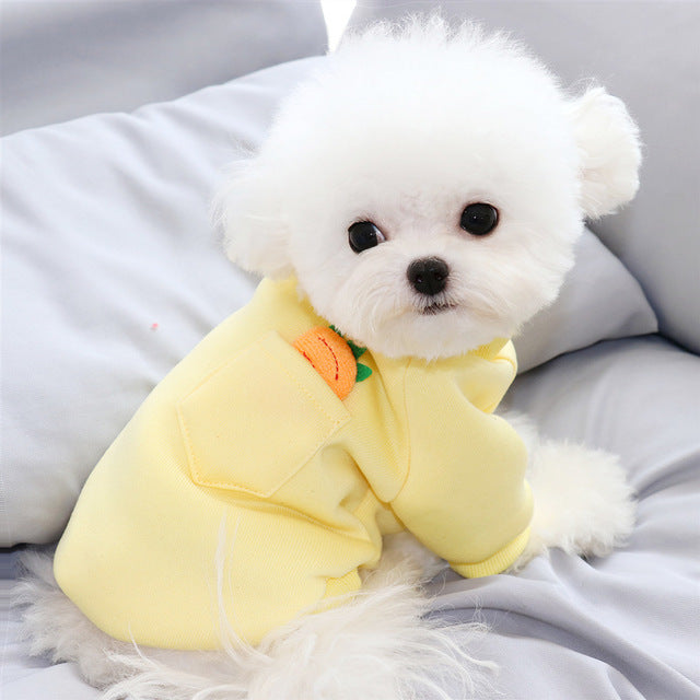 New Carrot Sweater Cute Teddy Dog Clothes Winter Warm Small Dog Pet Autumn And Winter Clothes