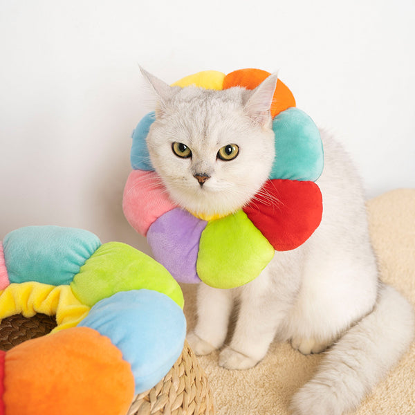 New Sun Flower Elizabeth Circle Soft Cute Cotton Headgear Pet Dog Cat Elizabeth Circle Anti-Licking Neck Collar Cat Collar