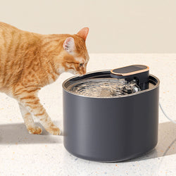 Pet Intelligent Water Dispenser Cat Automatic Water Feeder Large Capacity Automatic Circulation Cat And Dog Drinking Bowl