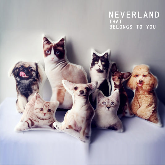 Cute Pet Cat Dog Shaped Pillow