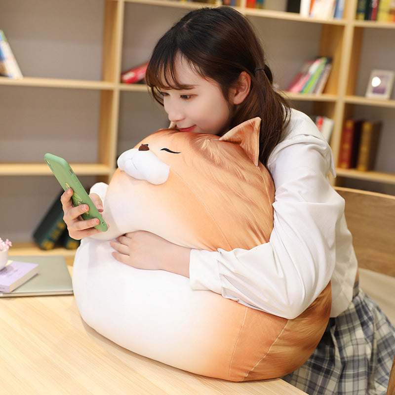 New Cute Printed Egg Cat Doll Plush Cat Pillow Home Cushion