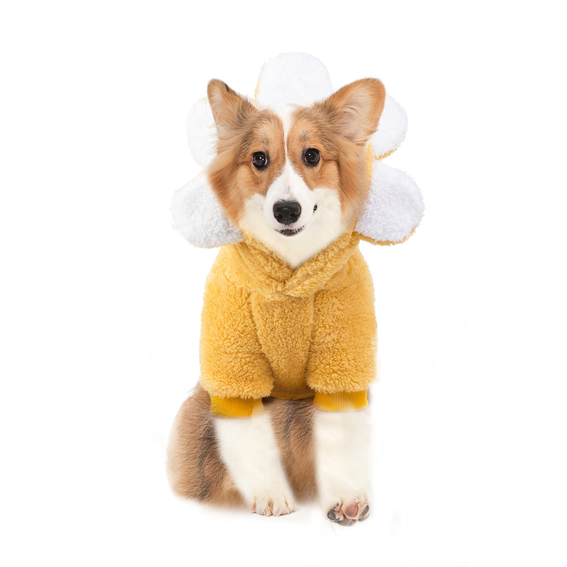 Dog Sun Flower Korean Version Cute Pet Clothes Cotton Sweater Autumn And Winter New Personality Dog Clothes