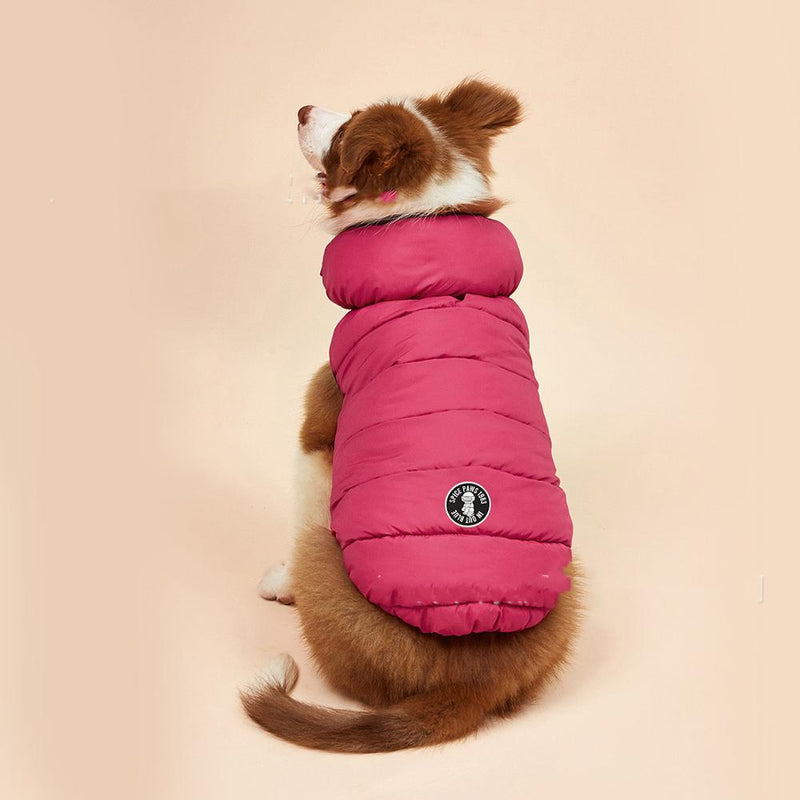 Autumn Winter New Pet Dog Clothes