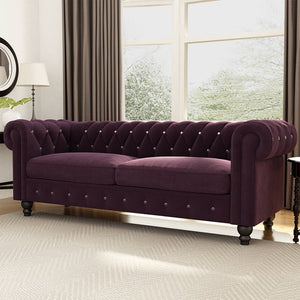 Classic Velvet Surface Couch