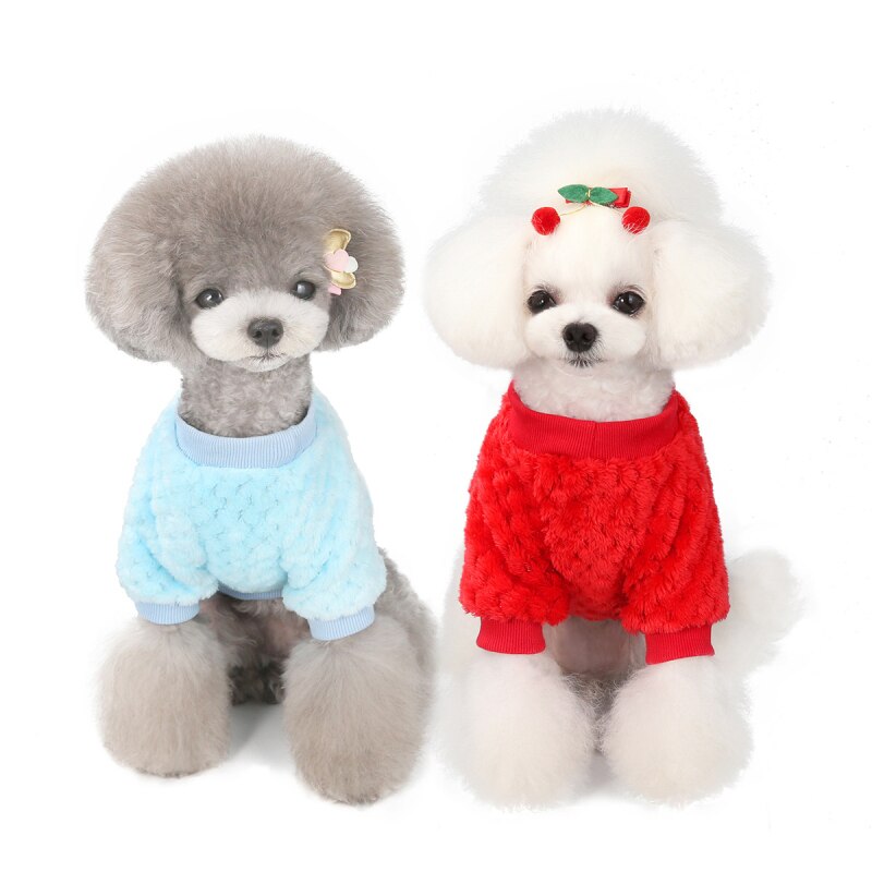 Winter Dog Plush Sweater