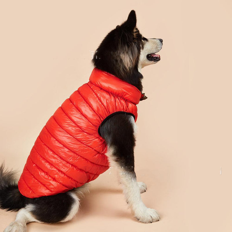Autumn Winter New Pet Dog Clothes