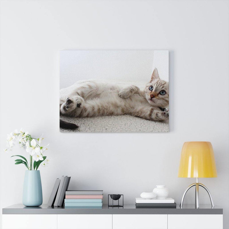 Adorable Cat Canvas Gallery Wall Art - Annizon Home Essentials