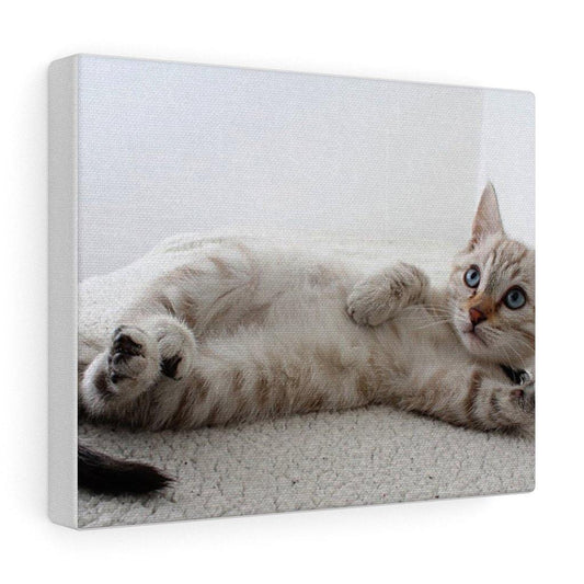 Adorable Cat Canvas Gallery Wall Art - Annizon Home Essentials